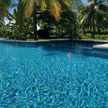 Sand Dollar Beach Bed & Breakfast Бокас-дель-Торо Экстерьер фото
