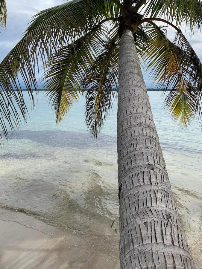 Sand Dollar Beach Bed & Breakfast Бокас-дель-Торо Экстерьер фото