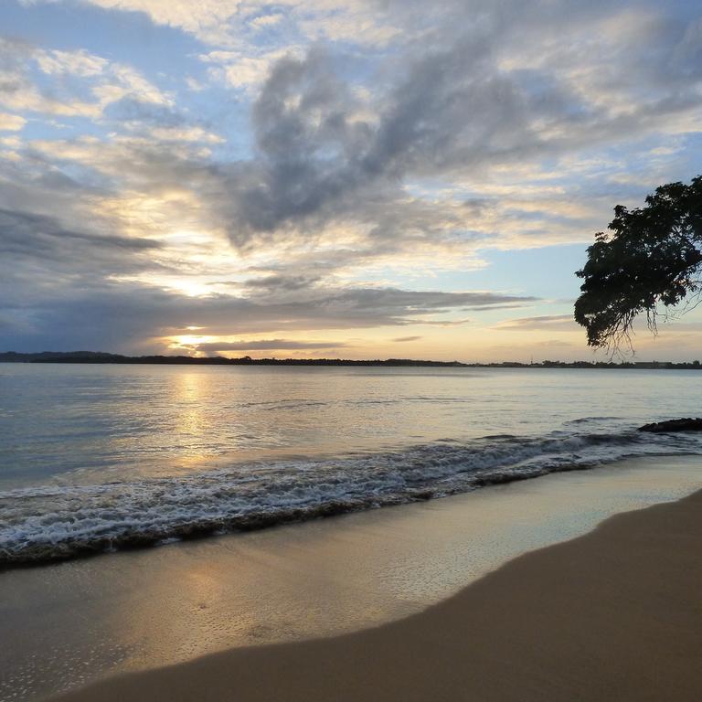 Sand Dollar Beach Bed & Breakfast Бокас-дель-Торо Экстерьер фото
